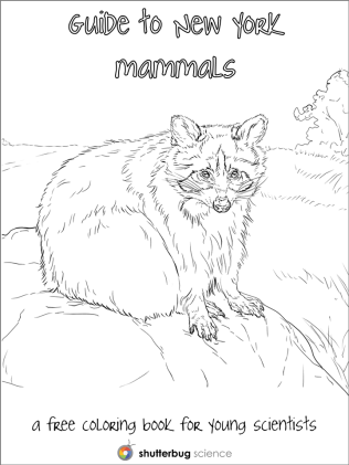 Field guide cover.png